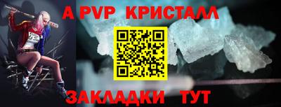 твердый Кингисепп