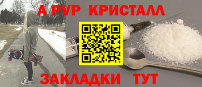 твердый Кингисепп