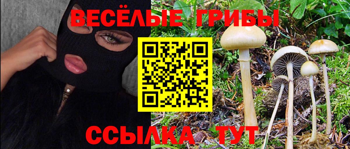 Коркино  Псилоцибиновые грибы Cubensis  Вход с VPN 