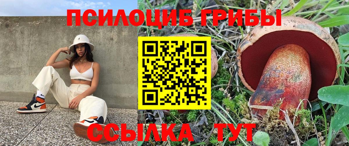 Псилоцибиновые грибы мухоморы Коркино